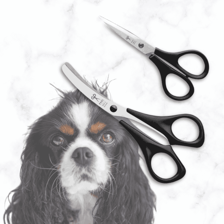 Hunde-Scherenset mit Gesicht- und Pfotenhaarschere von Paul
