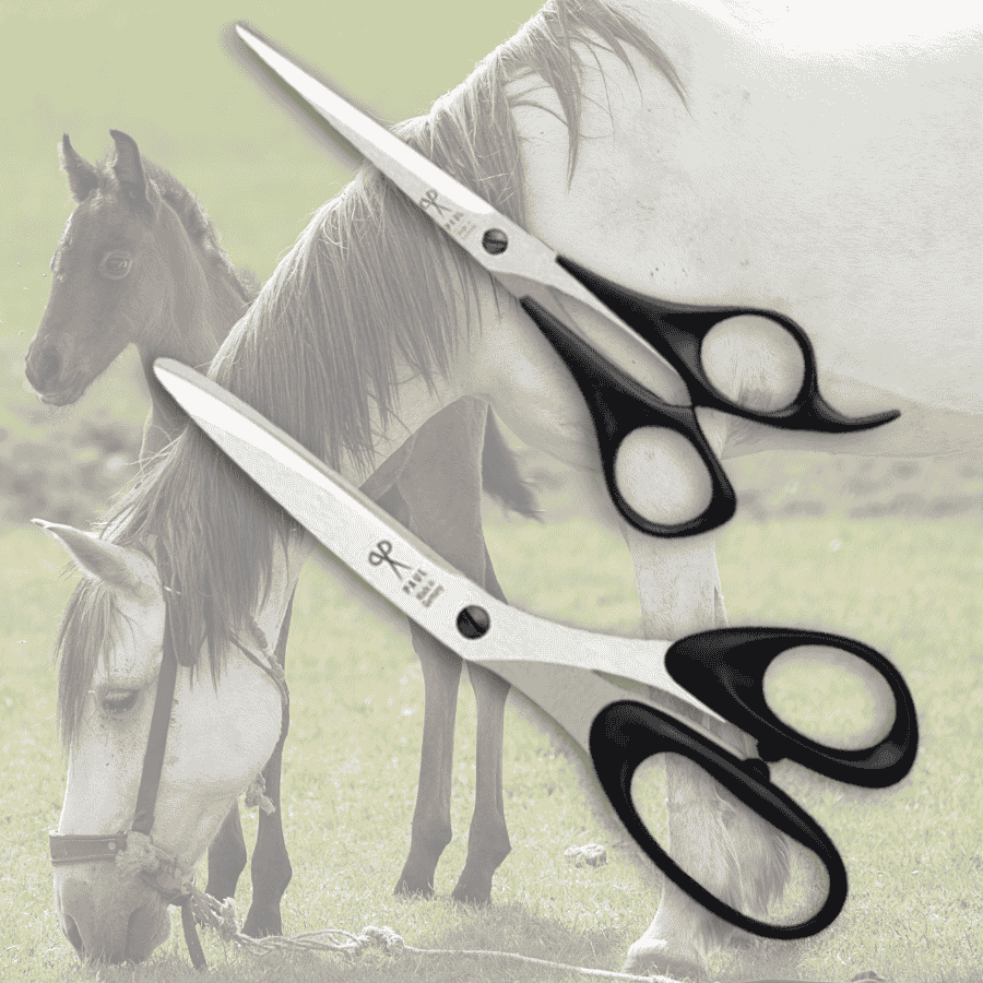 Pferde-Scherenset mit Pferde- und Mähnenschere von Paul