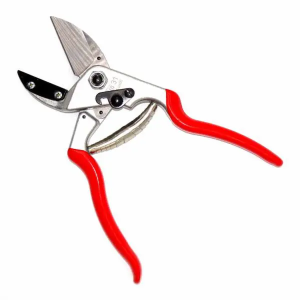 Amboss-Baumschere FELCO 31 (21 cm) - Image 3