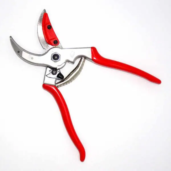 Rosen- und Blumen-Präsentierschere FELCO C4&H (21 cm) - Image 3