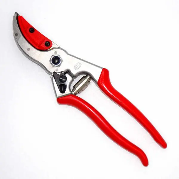 Rosen- und Blumen-Präsentierschere FELCO C4&H (21 cm)