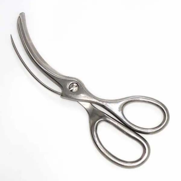 Garnelenschere von Premax (16.5 cm)