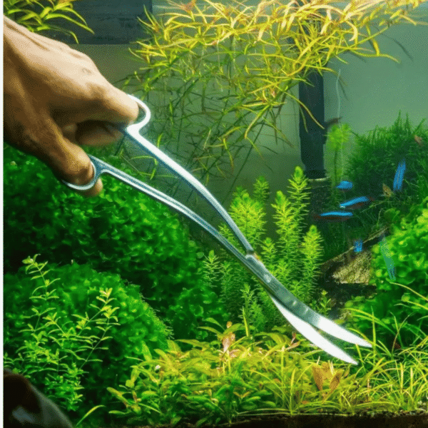 Aquariumschere gebogen – Bild 4