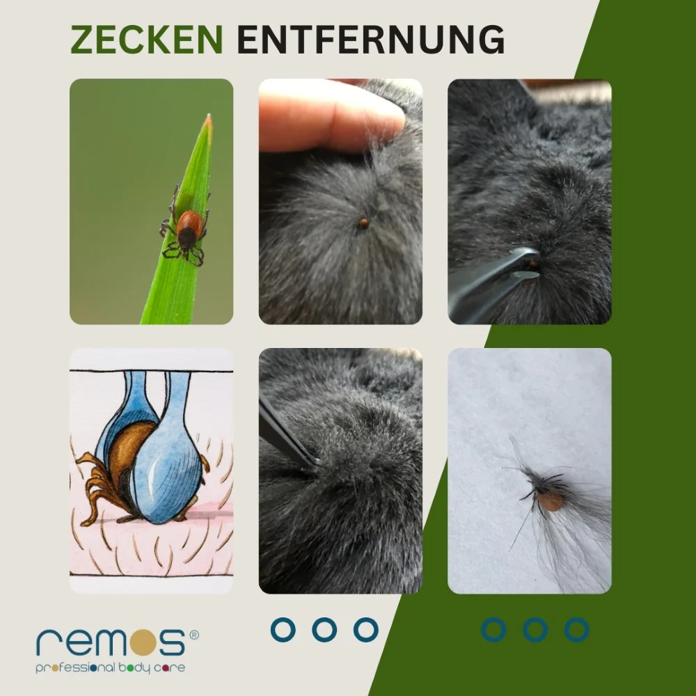 Mini Zeckenpinzette in Löffelform von Remos – Bild 6